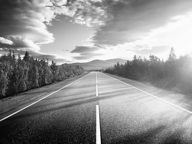 Road covered with trees